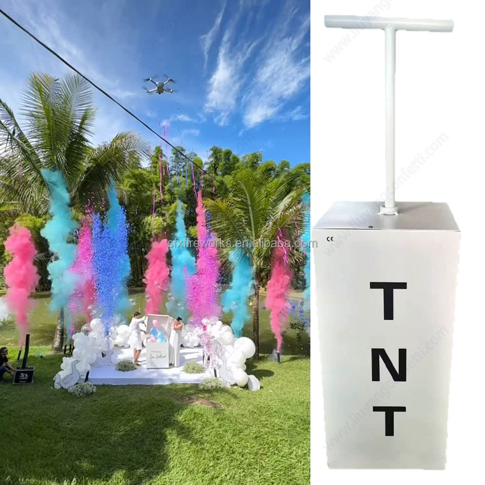 Electric Gender Reveal Smoke B - огляд і ціна Confetti Cannon Tube